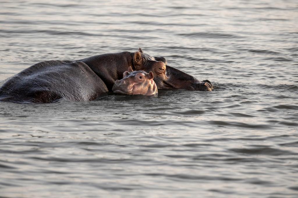Biuro kontaktowe BRANDNAME - konsultanci ds. relacji rodzinnych