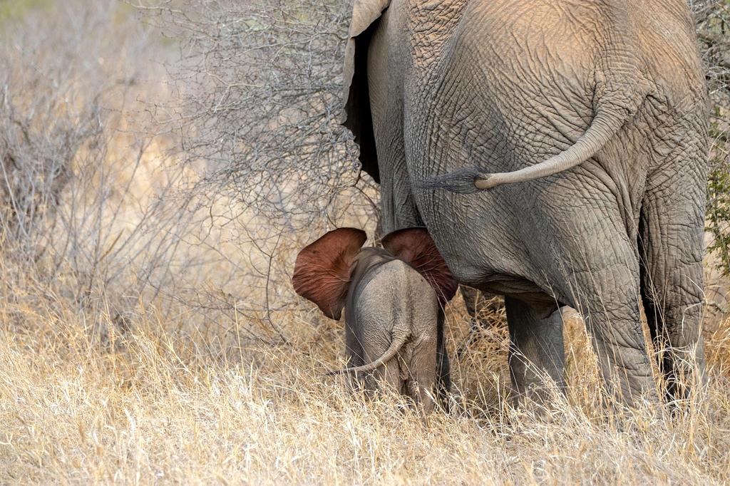 Para podczas sesji terapeutycznej