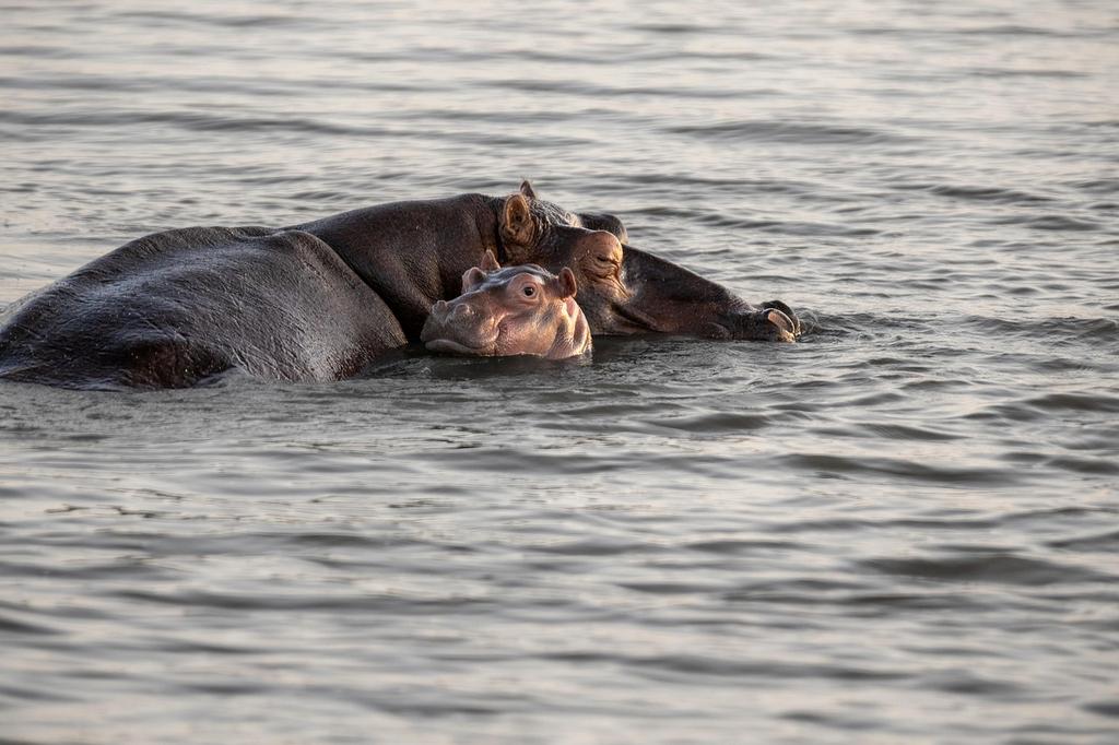 Zdjęcie profilowe klientki Anny